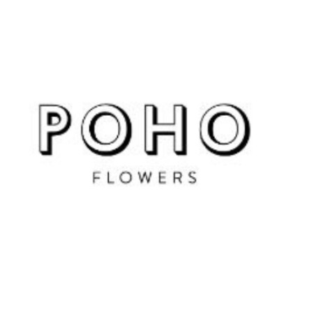 SoloTo profile picture for @poho
