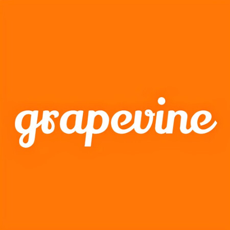 SoloTo profile picture for @grapevine