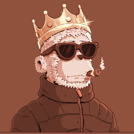 SoloTo profile picture for @passports