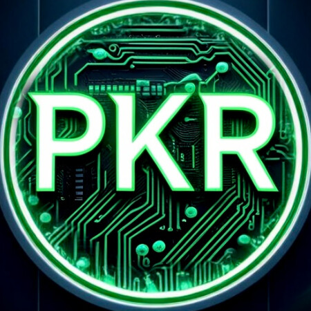 SoloTo profile picture for @pkr