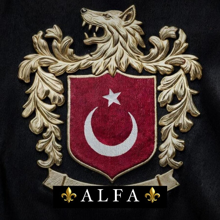 SoloTo profile picture for @alfa