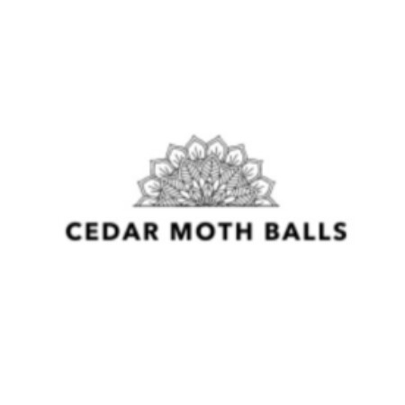 SoloTo profile picture for @mothballs