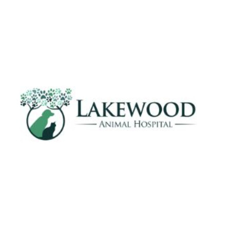 SoloTo profile picture for @lakewood