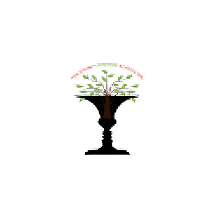 SoloTo profile picture for @perceptions
